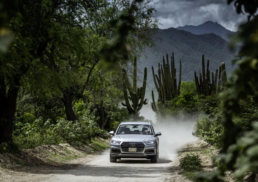  Audi Q5 TDI Quattro 2016 года  (WW) (фото 33 из 90)